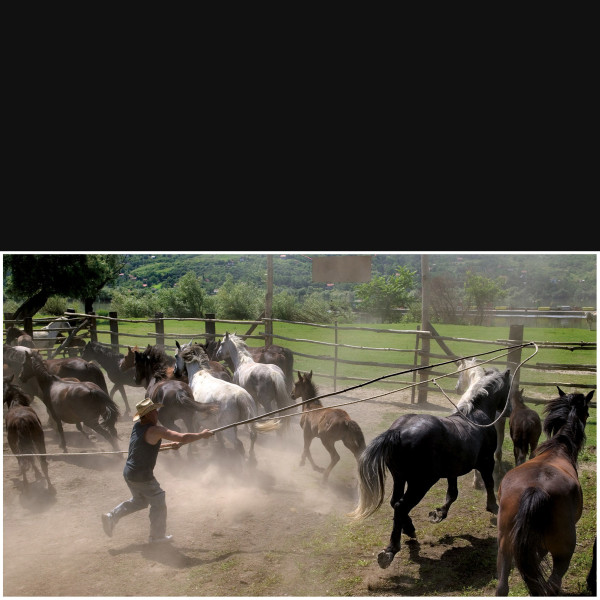 Poslednja Oaza Ranch