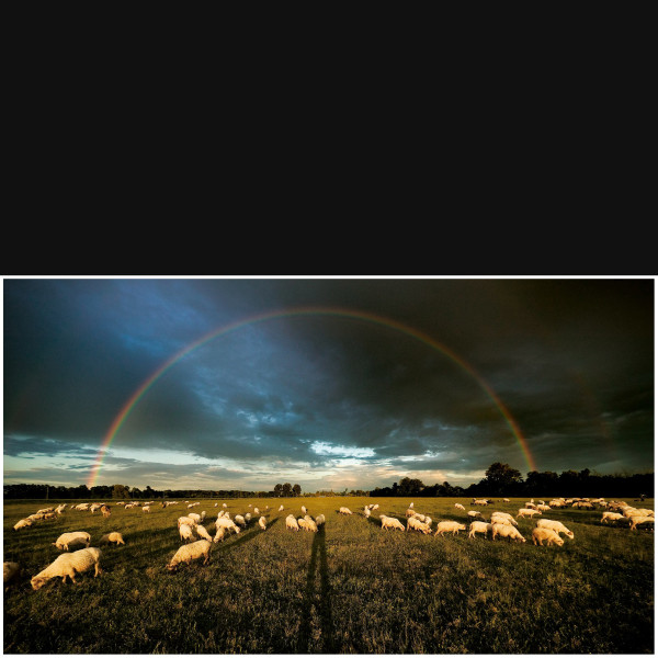 Rainbow on the Firmament