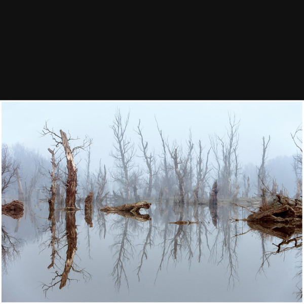 Wetland