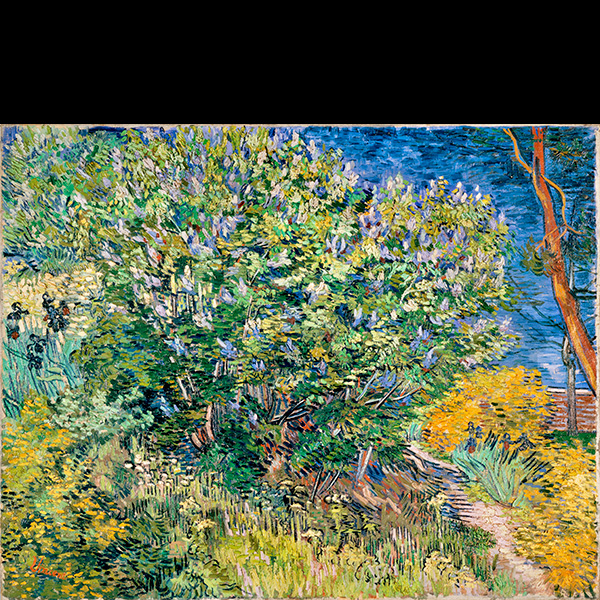 Vincent_Willem_van_Gogh_jorgovan_044_test 1_73x92cm_svetlije_sa belim okolo_minus JOŠ magenta_OKsredina tamnijaOK OK